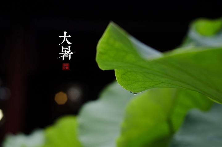 261777535199084640_副本.jpg
