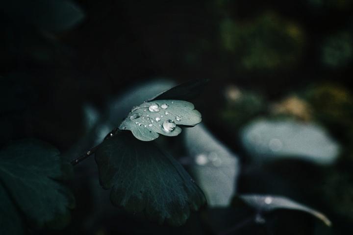 VCG41N1016847294.jpg