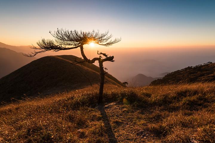 VCG21gic20003609.jpg