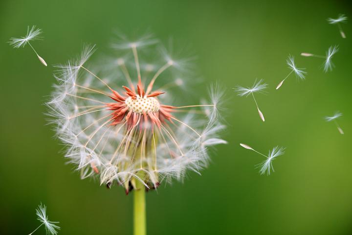 VCG2131bcc0845.jpg