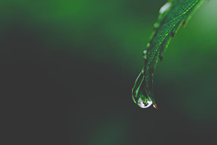 VCG41560951493.jpg