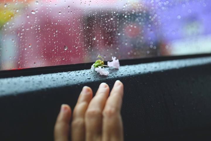VCG41568524717.jpg