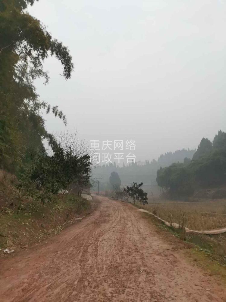 荣昌区盘龙镇合靖一杜唐家店子的一条公路都是泥土,村民老百姓出行