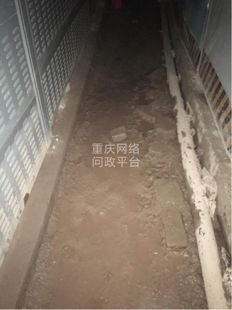 这段路要修整才能走!-重庆网络问政平台
