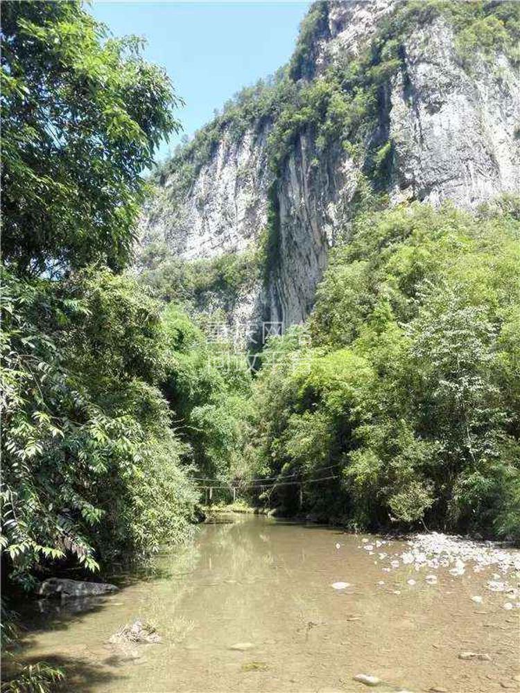 万州梨树乡潭獐峡旅游区什么时候动工建设-重庆网络问政平台