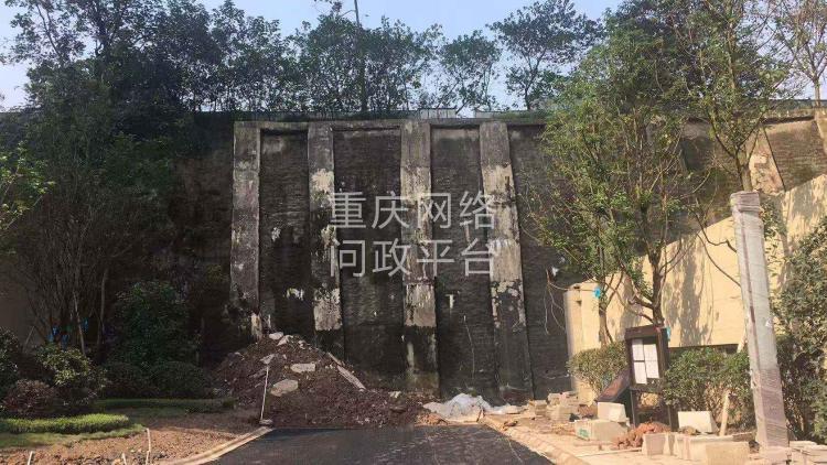 重庆巴南鹿角中海悦麓山楼盘业主诉求
