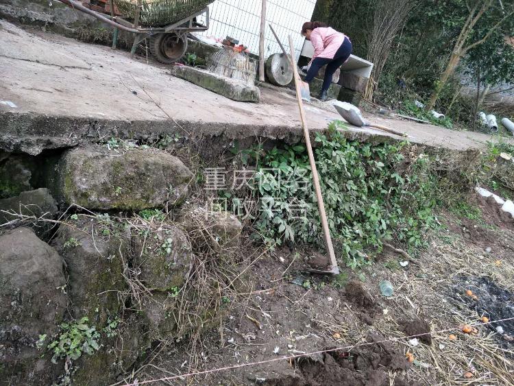 举报重庆合川区二郎镇兴坝村蒋*金违法侵占村民土地