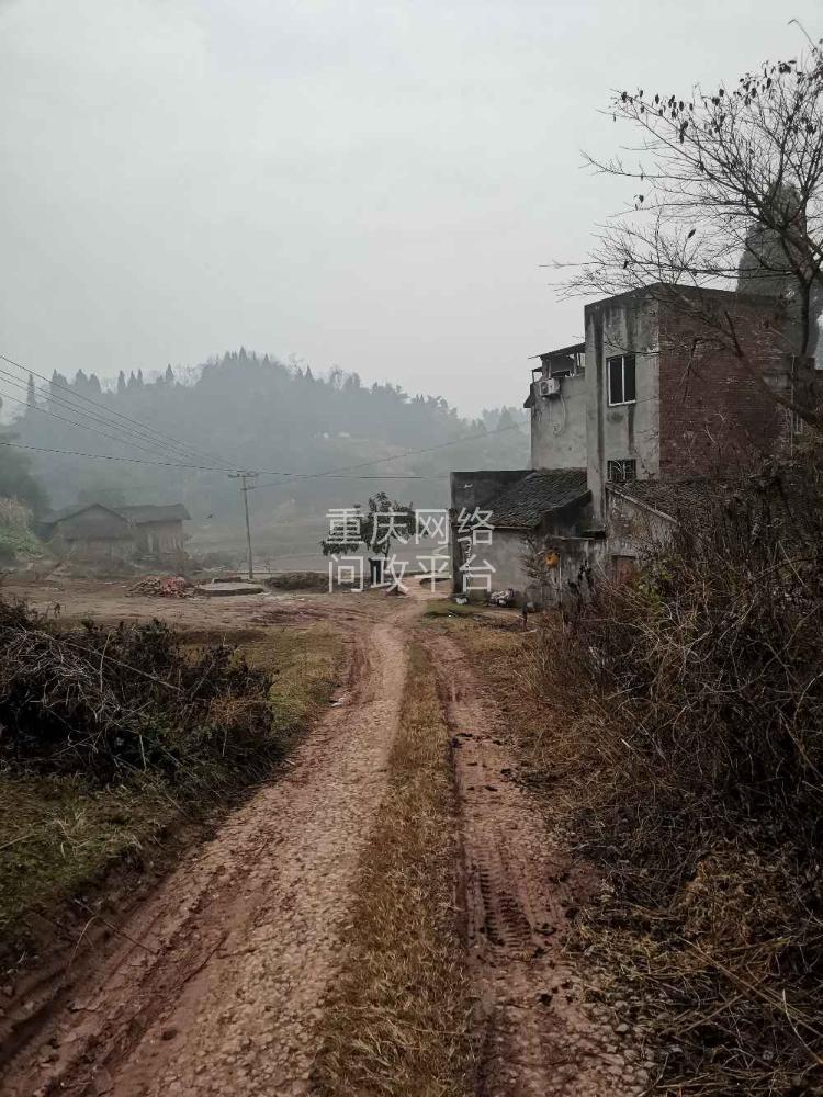 荣昌区盘龙镇合靖一杜唐家店子的一条公路都是泥土,村民老百姓出行