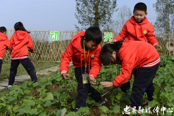 永丰小学建实践基地激发学生劳动热情