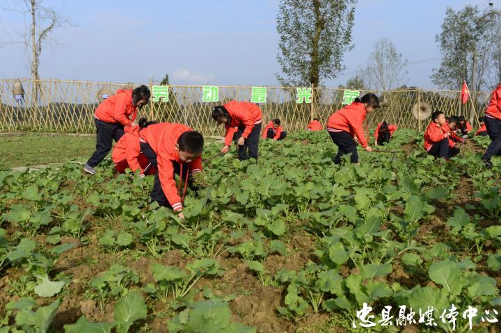 永丰小学建实践基地激发学生劳动热情