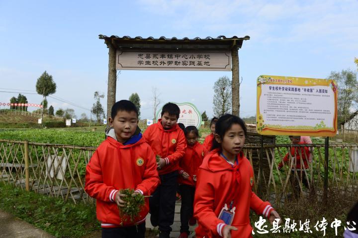 永丰小学建实践基地激发学生劳动热情