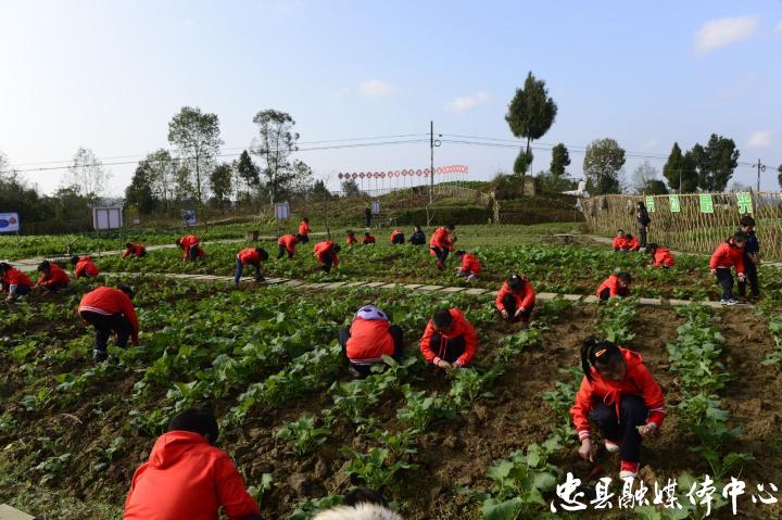 永丰小学建实践基地激发学生劳动热情