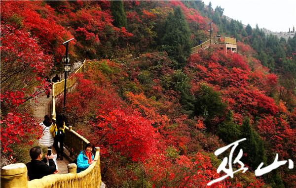 圖為紅葉節期間游客在巫山觀看紅葉。盧先慶攝.JPG