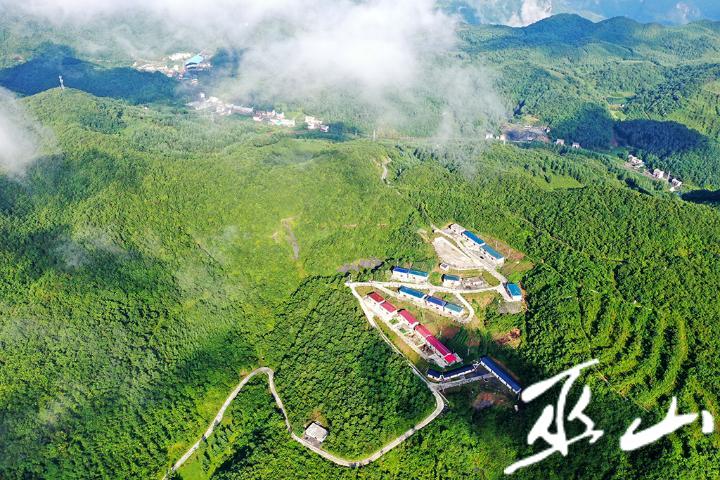 DJI_0242.jpg