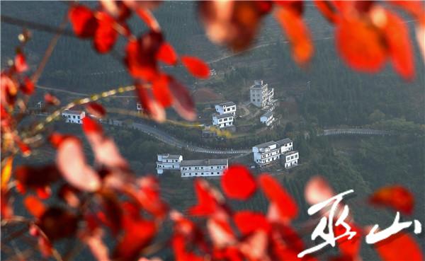 居住在紅葉中的農家如仙境。盧先慶攝.JPG