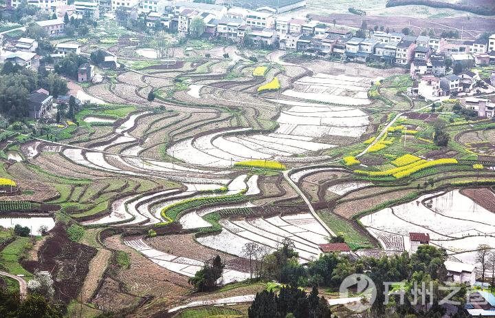 开州铁桥镇：整田蓄水待插秧，呈现一幅美丽的农耕画面【澳门永利官网】(图1)