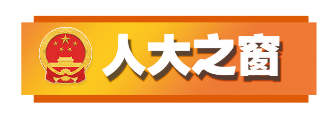 【人大之窗】人大代表宣讲《民法典》