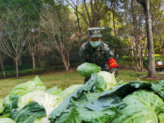 荣昌好邻居！买8000余斤蔬菜免费送