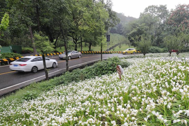 全国城市城区人排名_全国城区人口超100万城市排名榜单揭晓