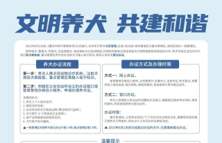 【棠城普法】重庆市养犬管理条例（第二百零一期）