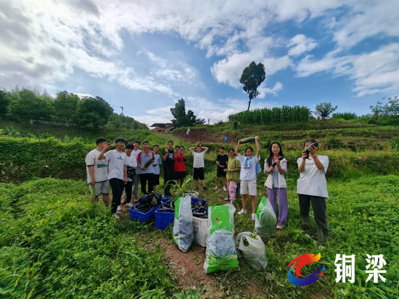 永嘉中学校花图片