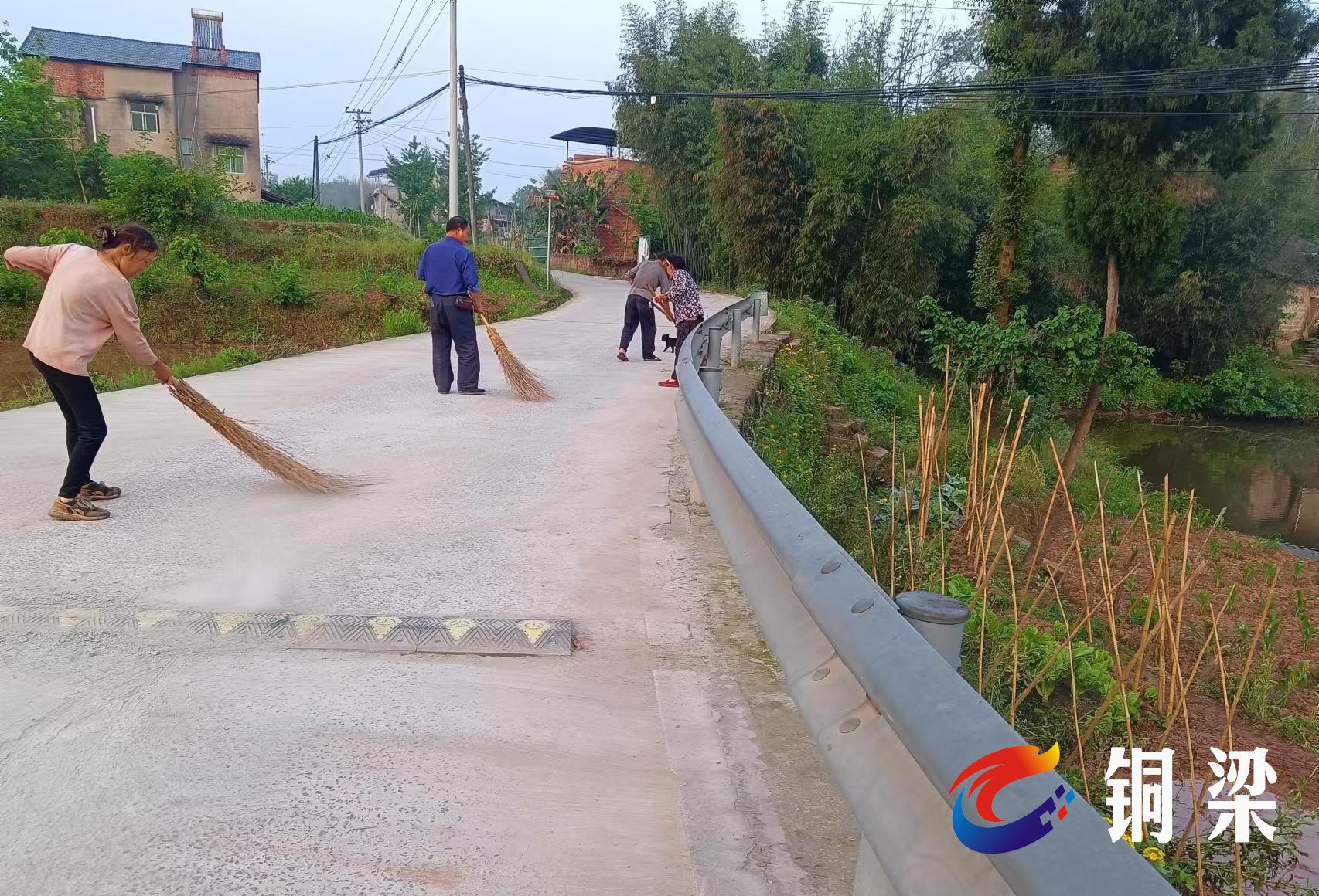 大庙镇双鹅村开展环境卫生综合整治行动——铜梁网
