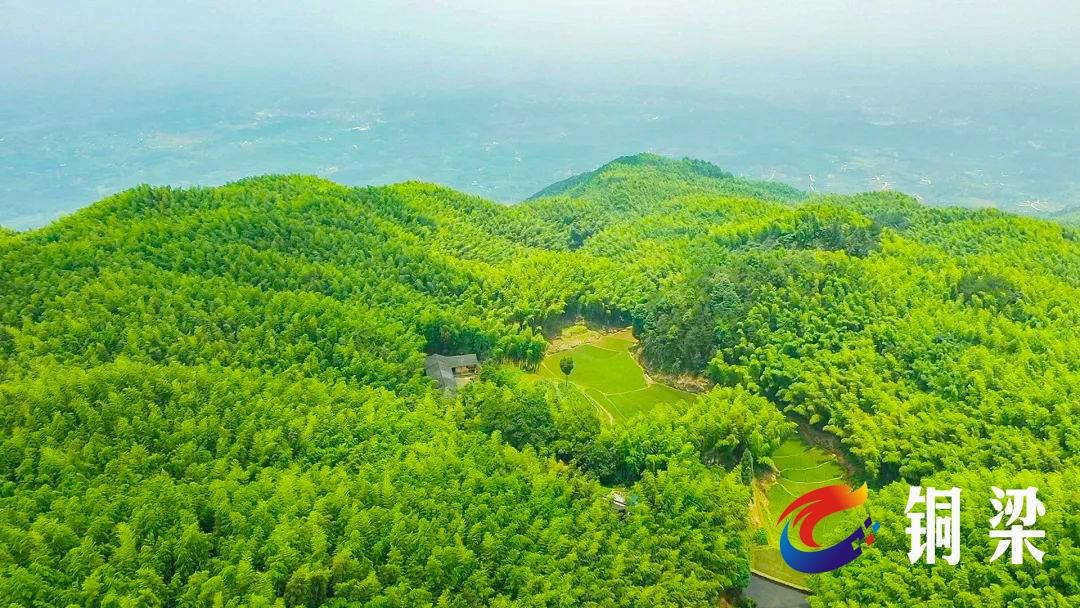 铜梁区永嘉镇竹海村:打好"资源牌" 农旅融合促发展