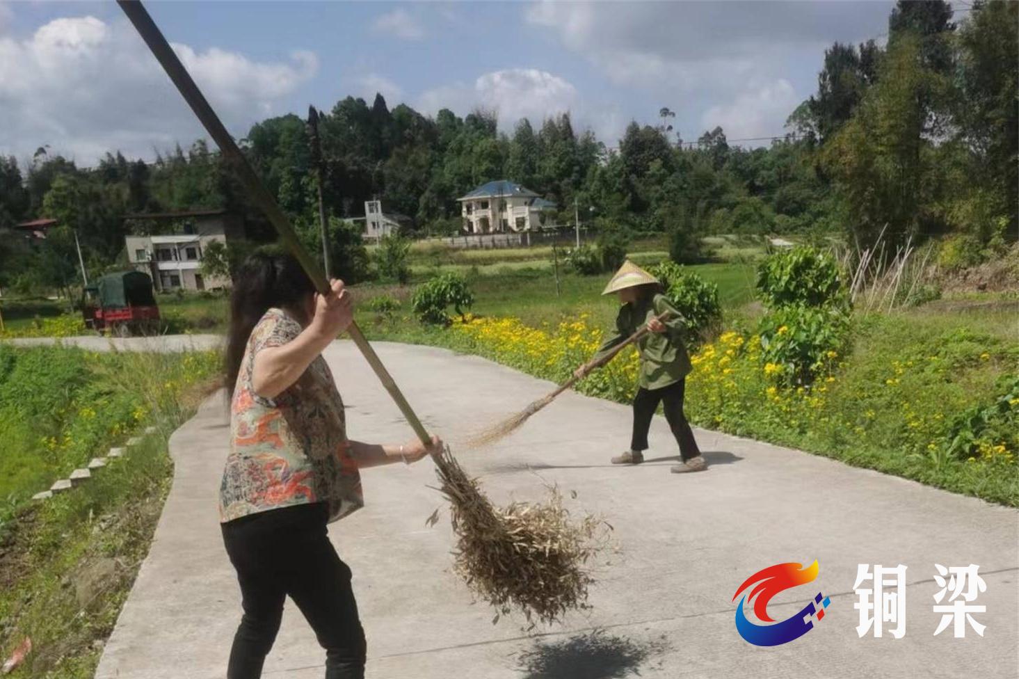 提升幸福指数,铜梁区大庙镇双胜村开展人居环境整治行动