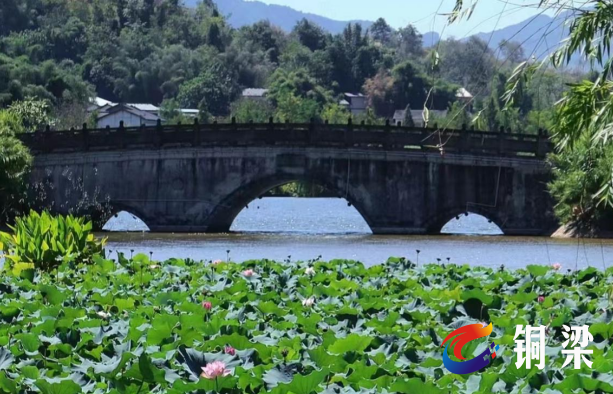 赏荷花美景·品兔肉美食铜梁区土桥镇荷文化旅游节暨兔文化节即将