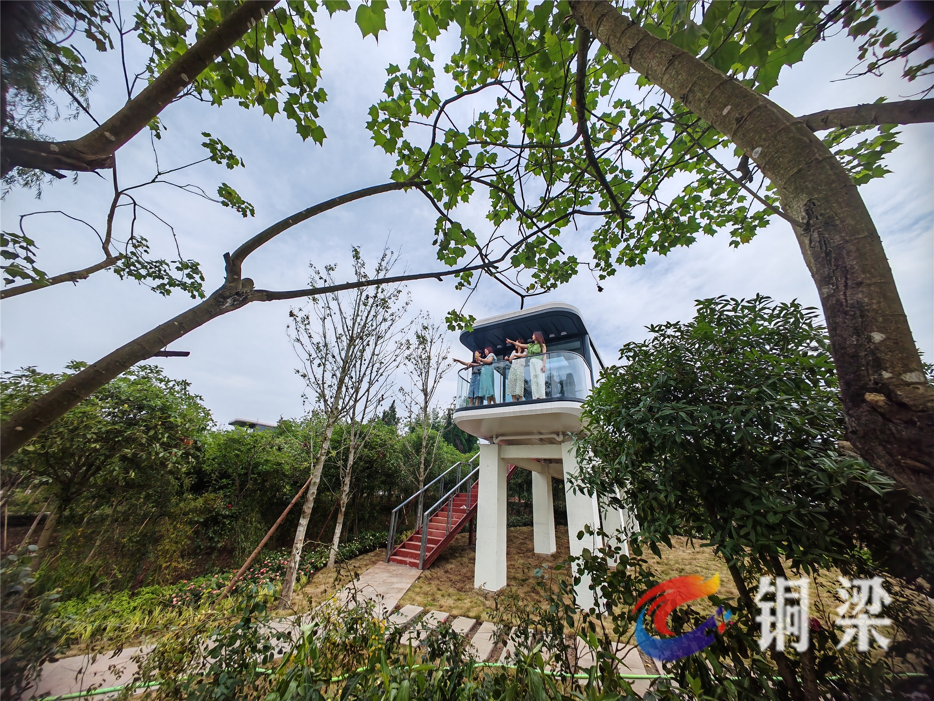 6月8日,在西郊玫瑰岛,重庆玄天湖文旅公司打造的西来太空舱民宿掩映在