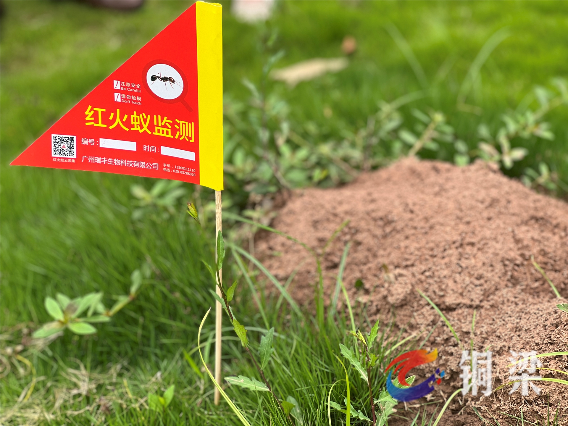 《重庆市农业农村委员会等九部门关于印发2023年重庆市红火蚁阻截防控