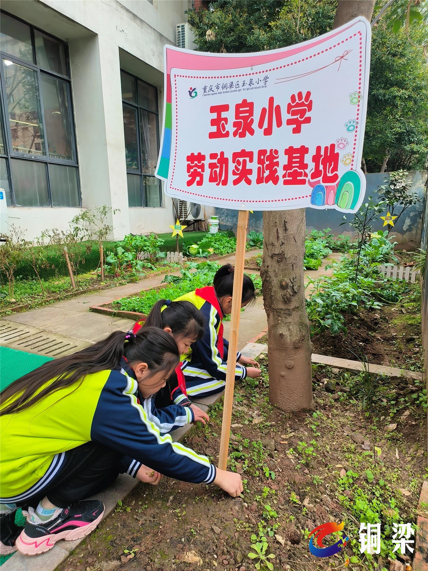 重庆市铜梁区玉泉小学图片