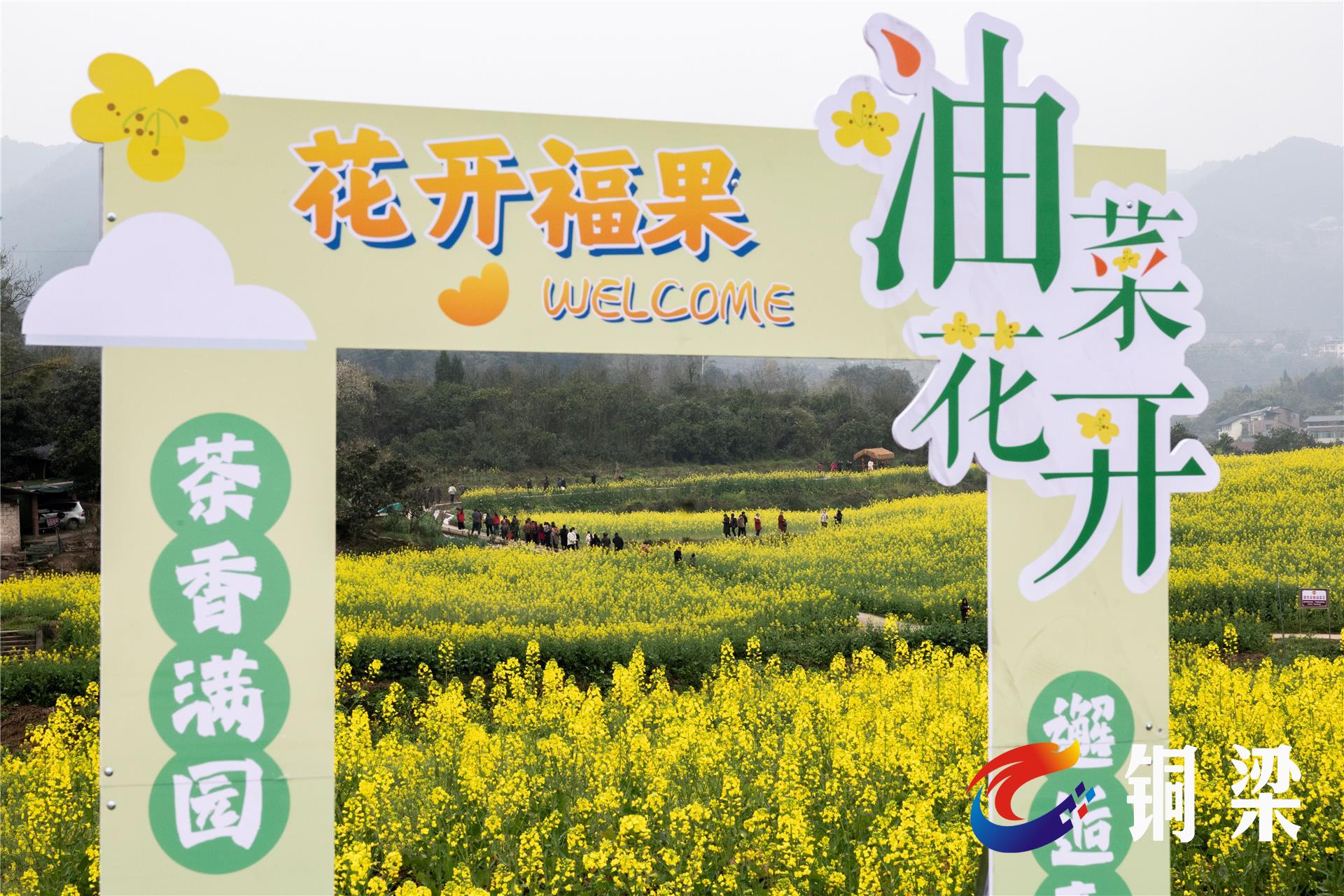 乡村油菜花节开幕!铜梁区福果镇邀你进入"花花的世界"——铜梁网
