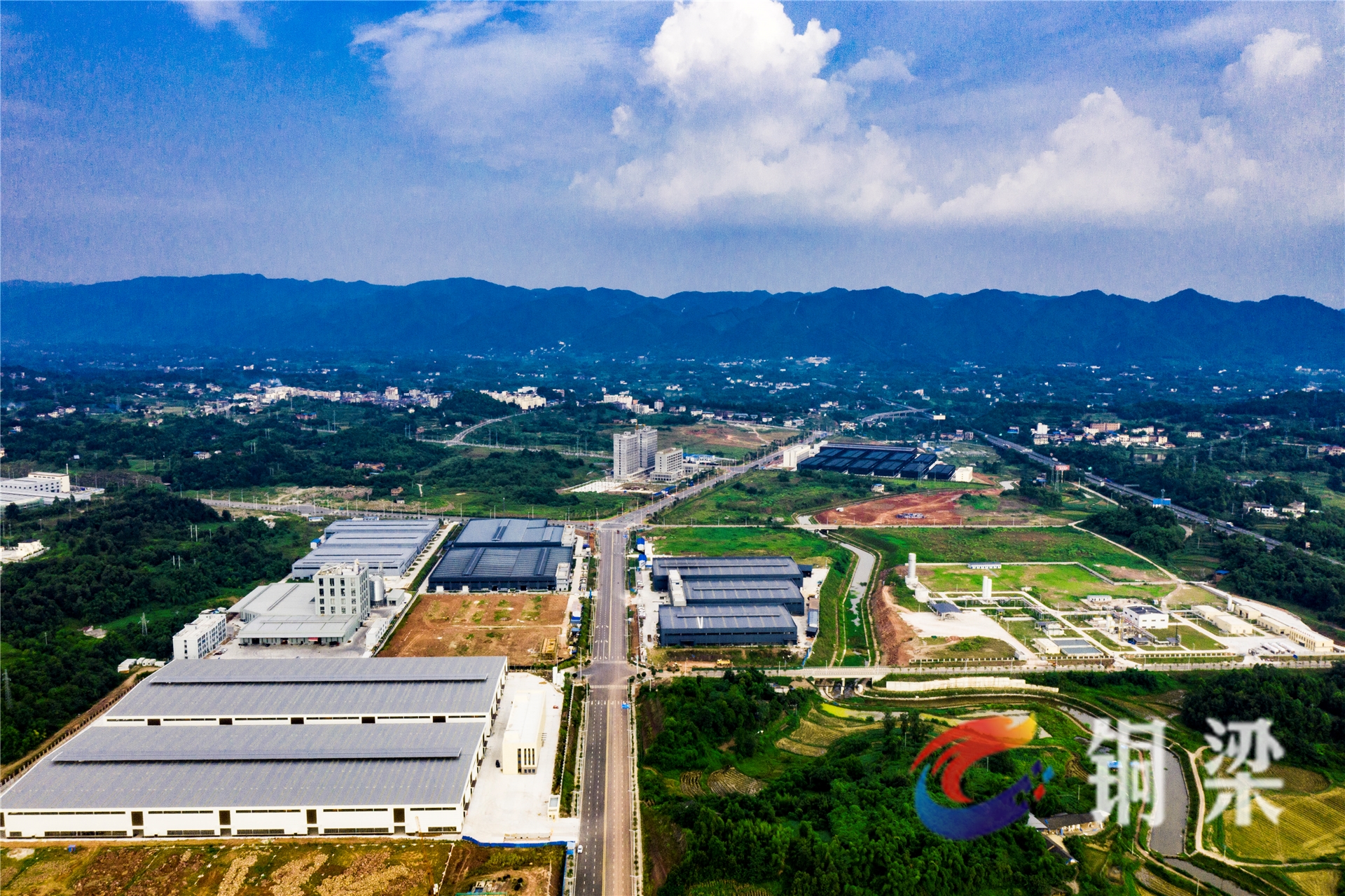 铜梁区大庙镇:新型桑蚕产业编织致富路——铜梁网