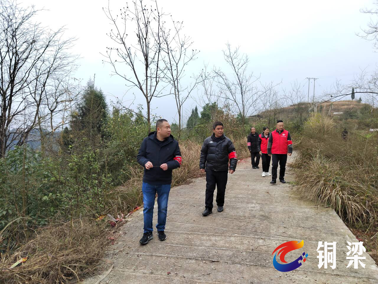 高楼镇:全力踏查守净土 筑牢无毒"防护墙"——铜梁网