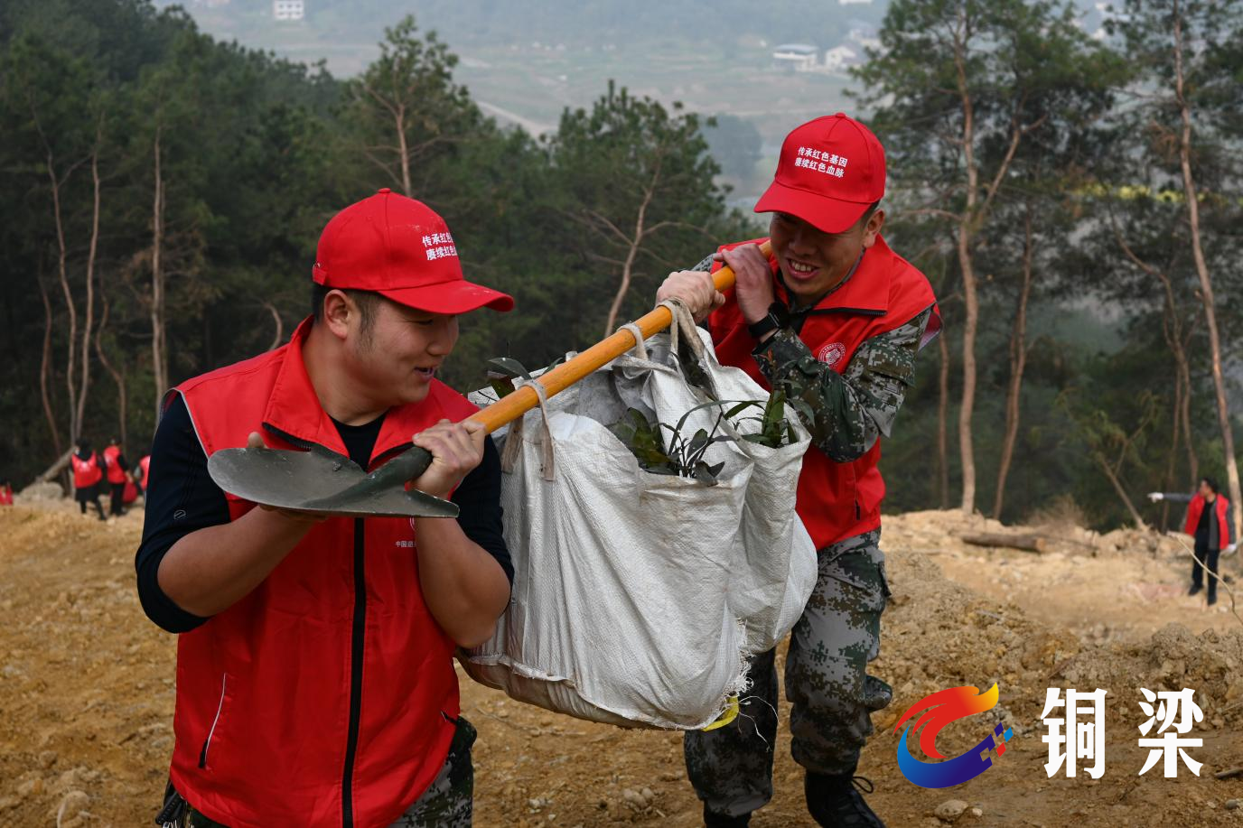 铜梁区虎峰镇开展义务植树活动——铜梁网