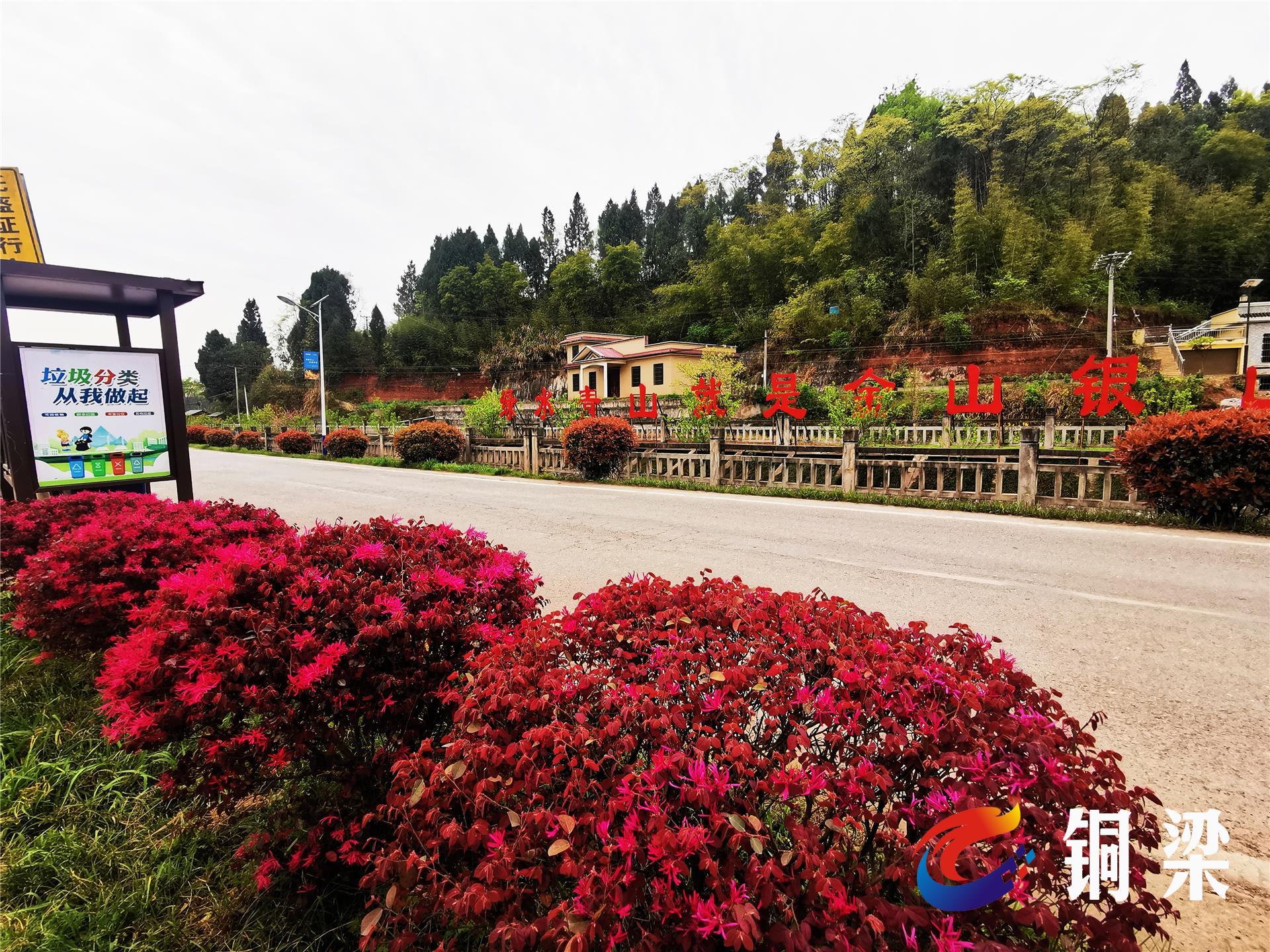 铜梁区小林镇场镇入口成景观——铜梁网