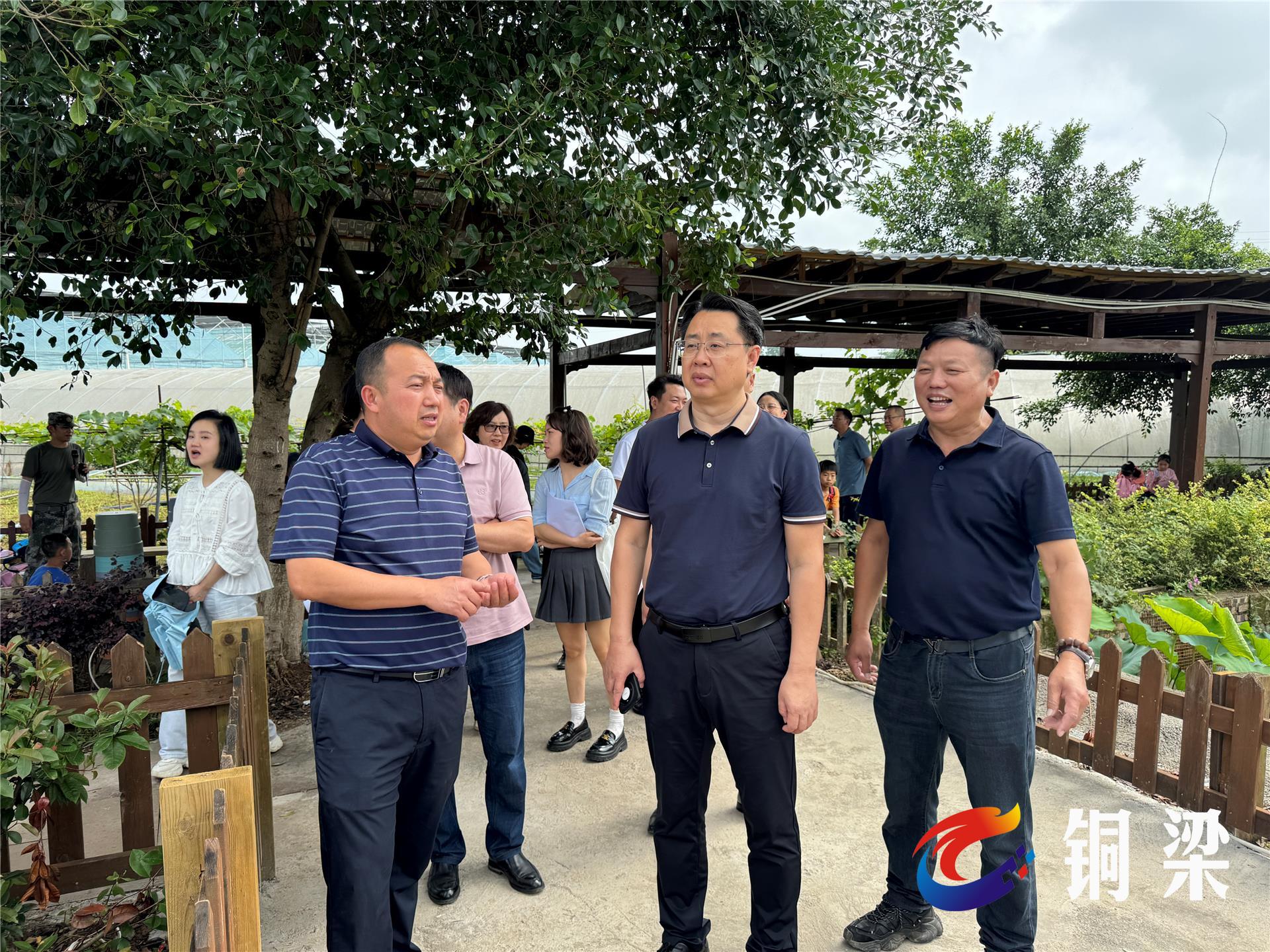 当天,张正全一行前往围龙镇"巴岳农庄"水云居项目施工现场及太平镇牧