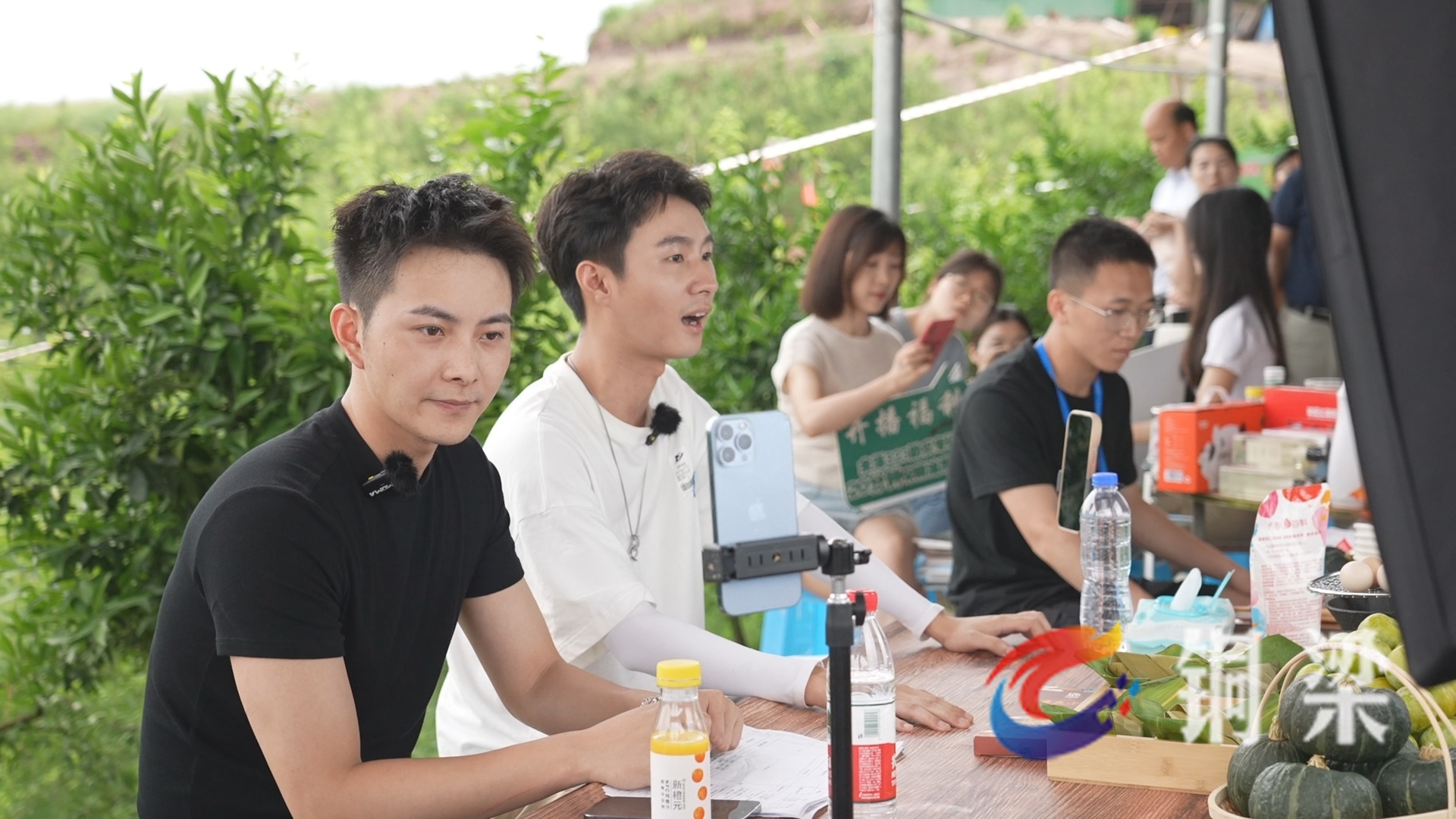 "百万网红"产地打卡直播 为"龙乡水土生"名特优农