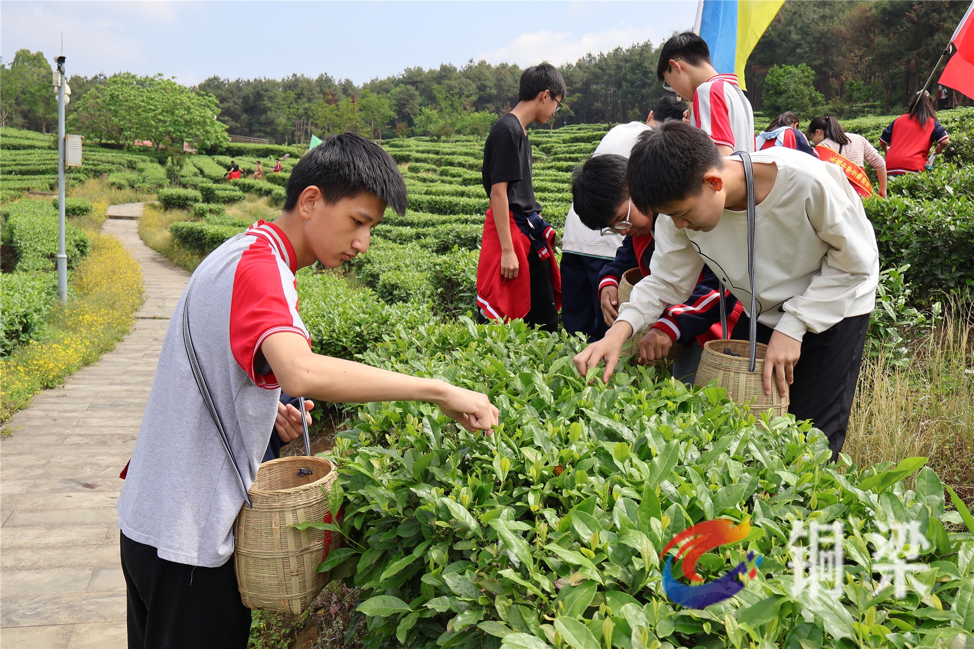 用脚步丈量青春 铜梁永嘉中学开展远足活动——铜梁网