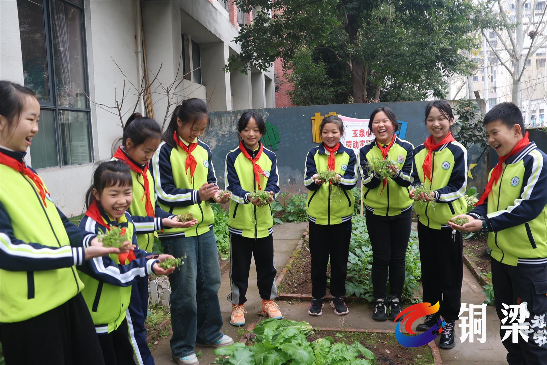 重庆市铜梁区玉泉小学图片