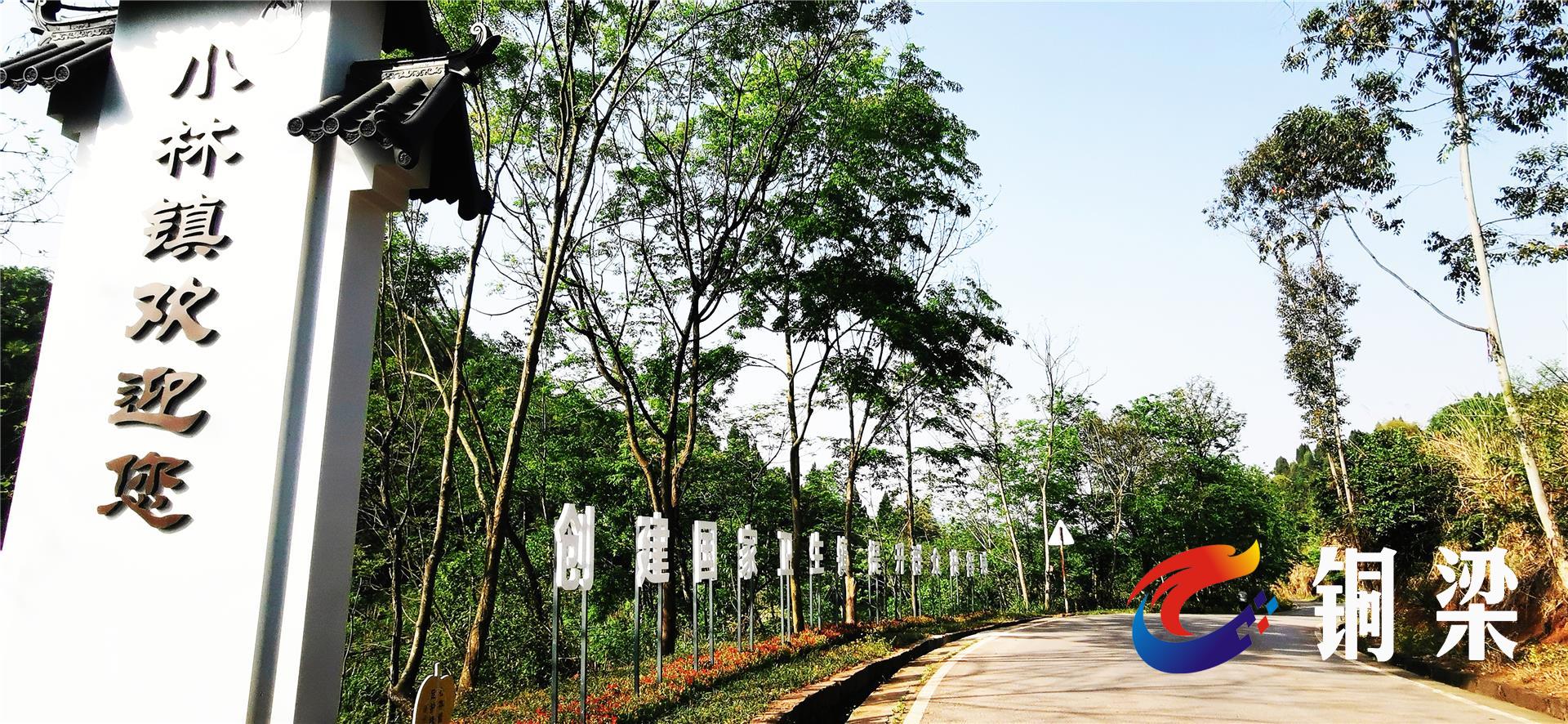 紧邻公路的河堤上花树葱茏,安立在堤