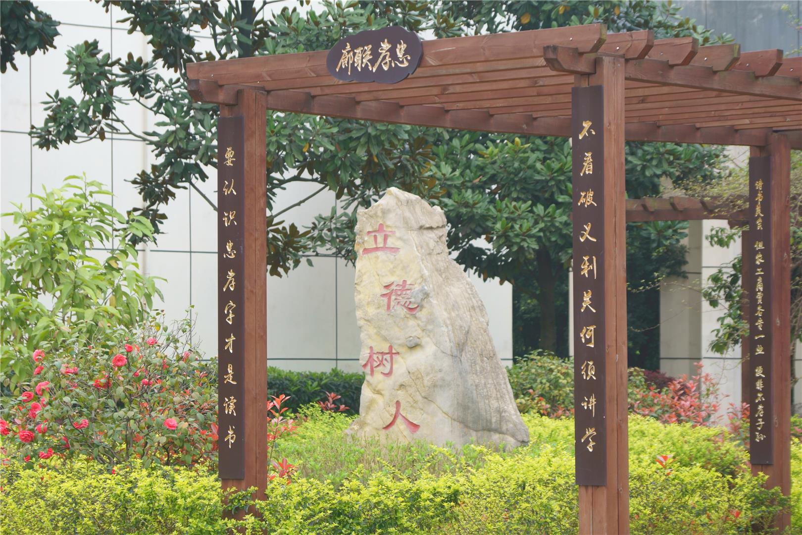巴南：党建赋能，教育教学添光彩