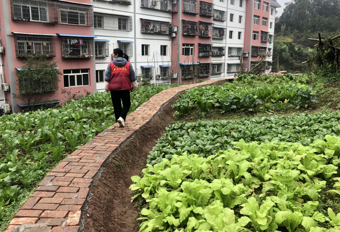 惠民街道：旧砖铺新路，共同谋幸福