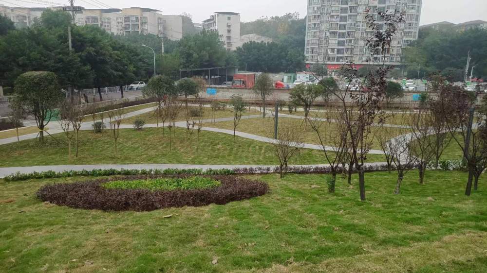巴南区土储中心：盘活“闲”资源，换来好“钱”景