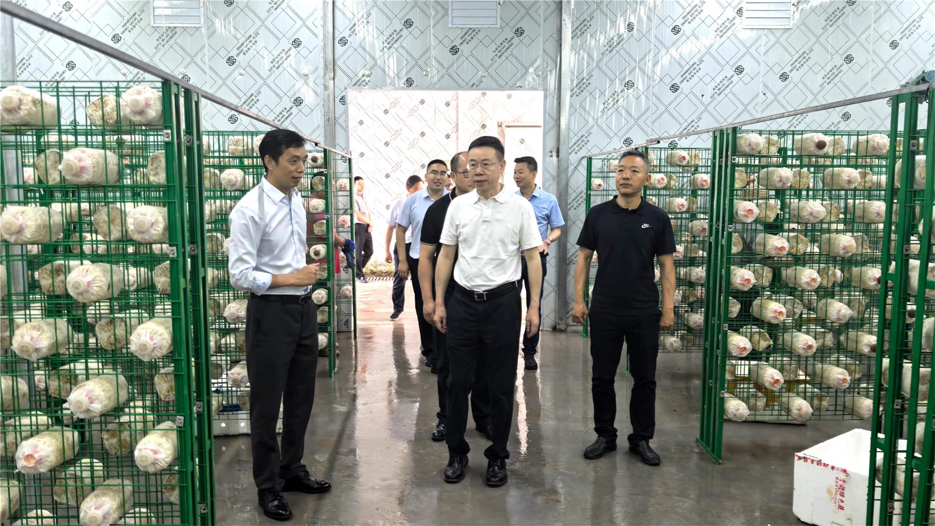何友生到接龙镇调研，并宣讲习近平总书记视察重庆重要讲话重要指示精神