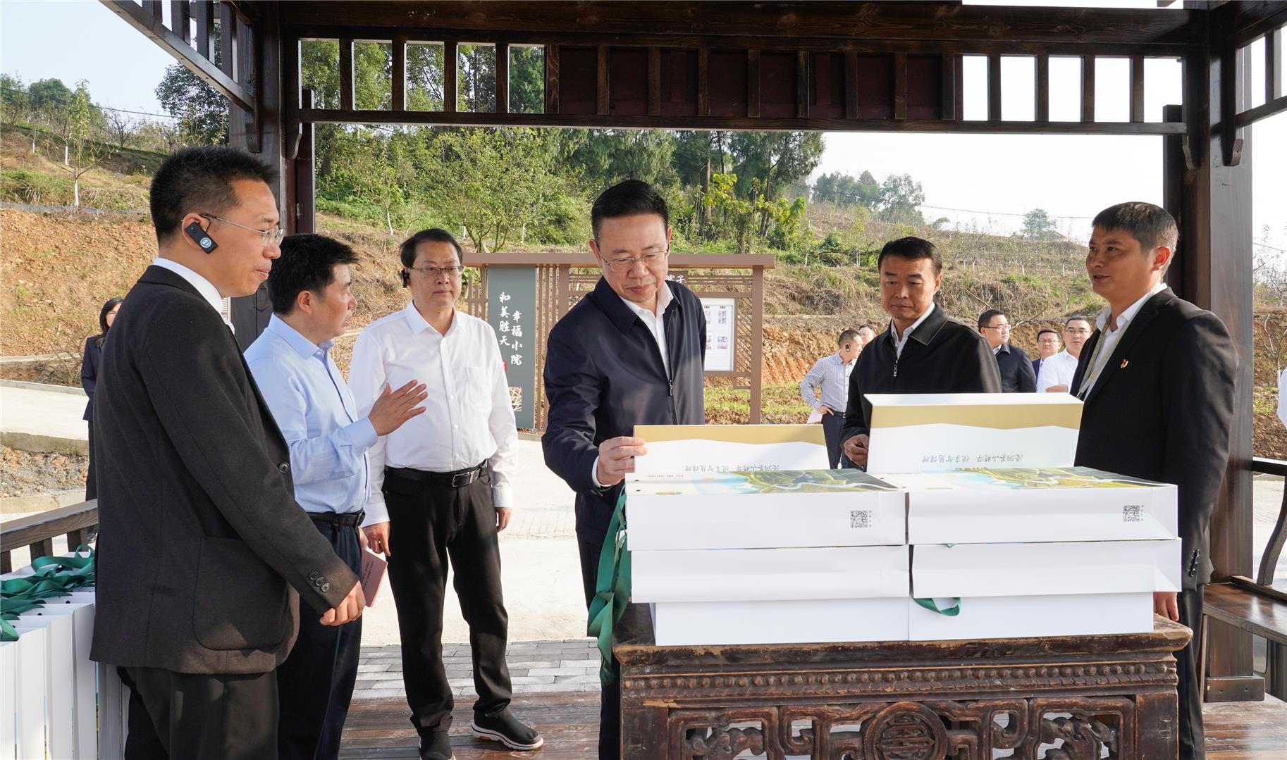 巴南区召开主题教育工作推进会暨“党建引领·百村振兴”现场会