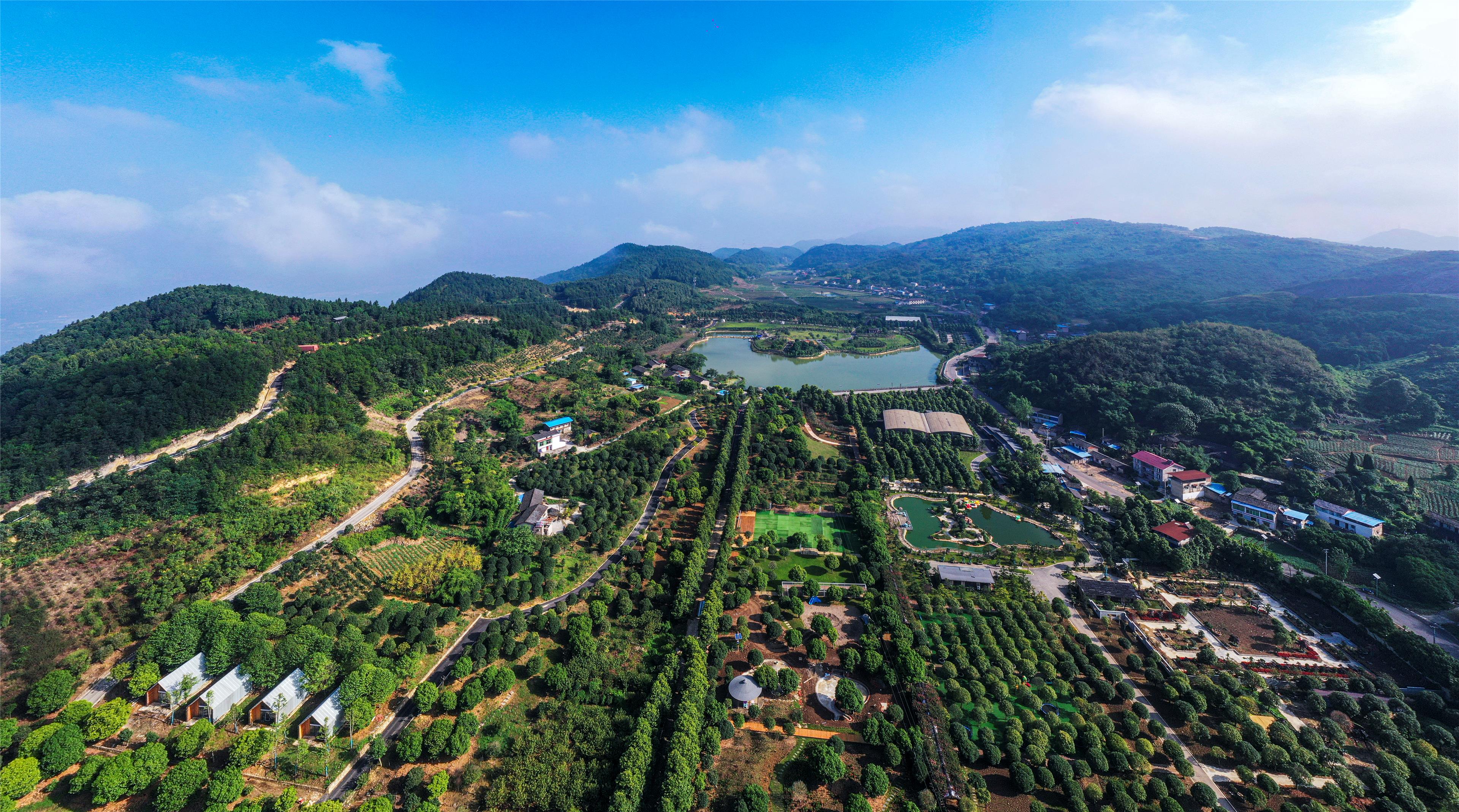 喜讯!沙坪坝区获"中国天然氧吧"殊荣