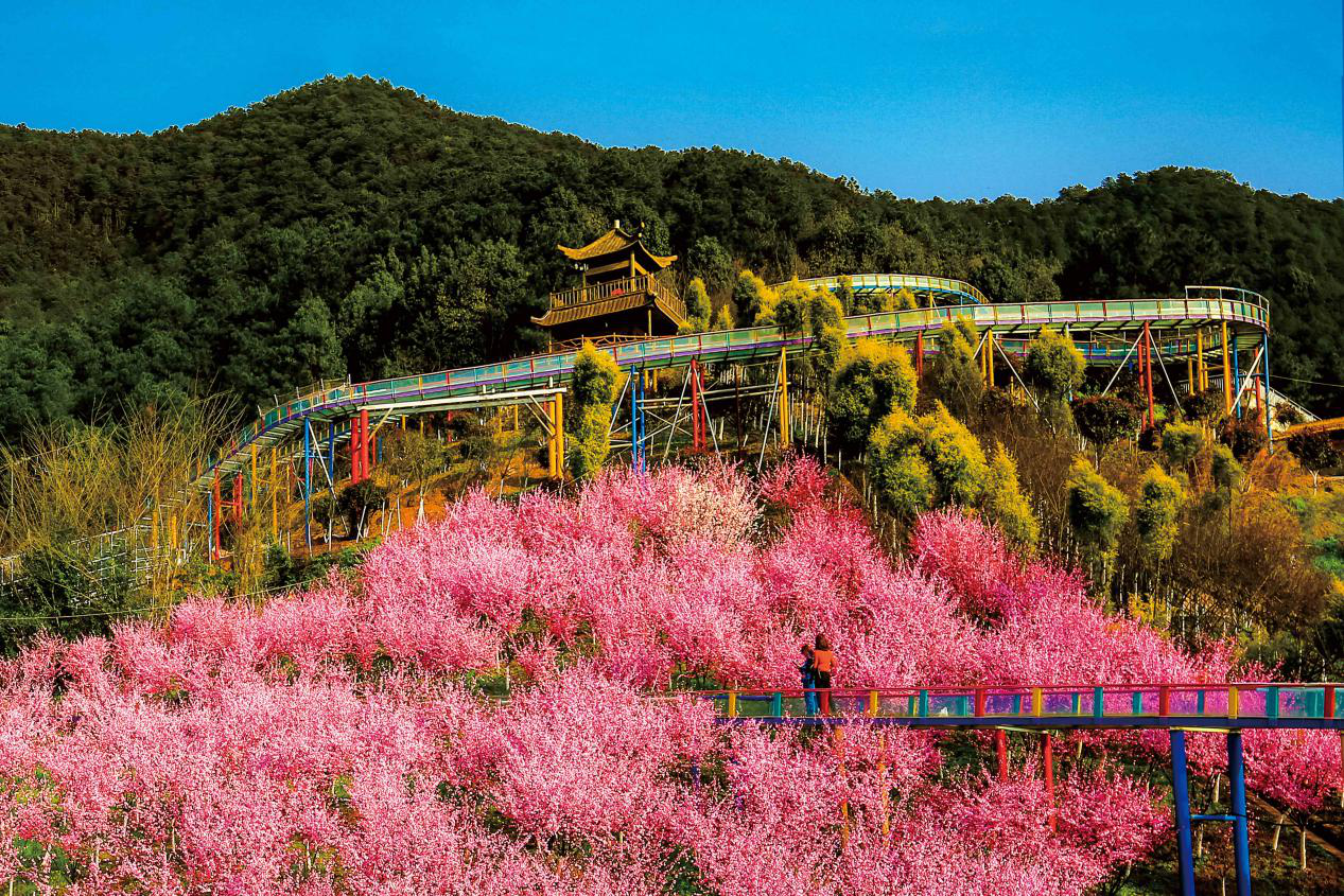 重庆红岭溪谷景区门票图片