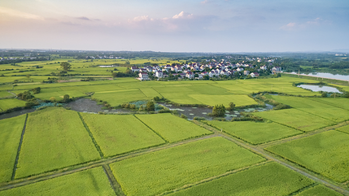 VCG211275256864.jpg
